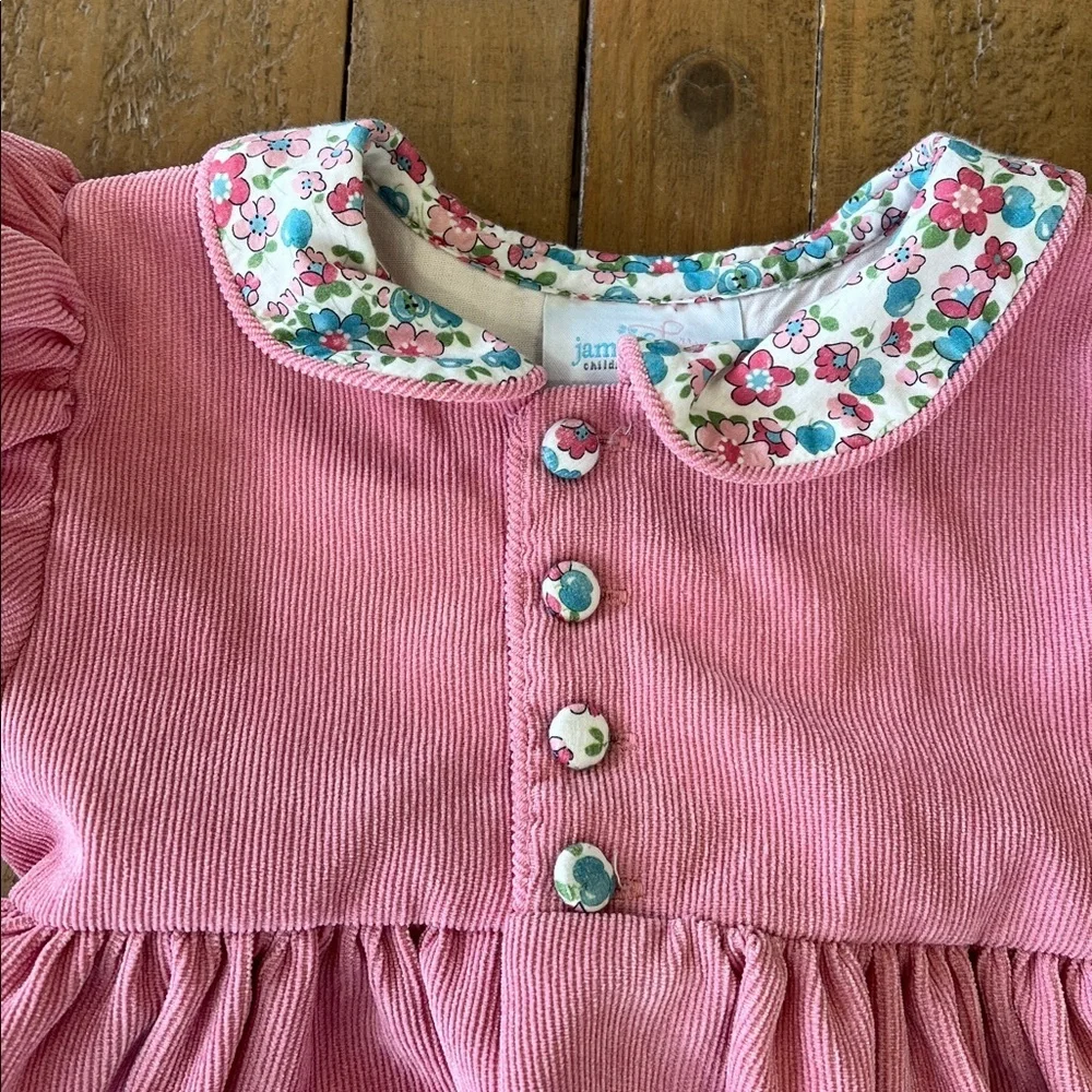 James & Lottie pink puff sleeve floral Peter Pan collar dress 3T
